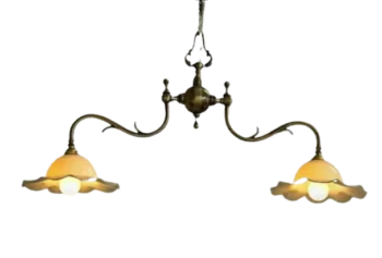 Brass Blossom Fixture with Dual Flower Shades